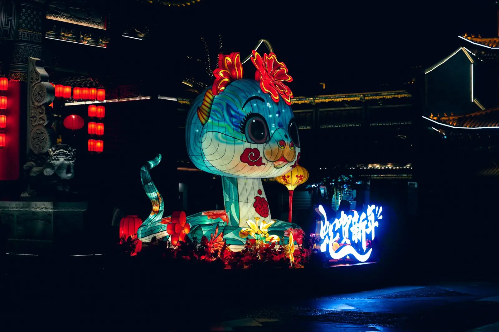 体育赛事编排软件选型指南：从光盘版到云端平台的演进路径