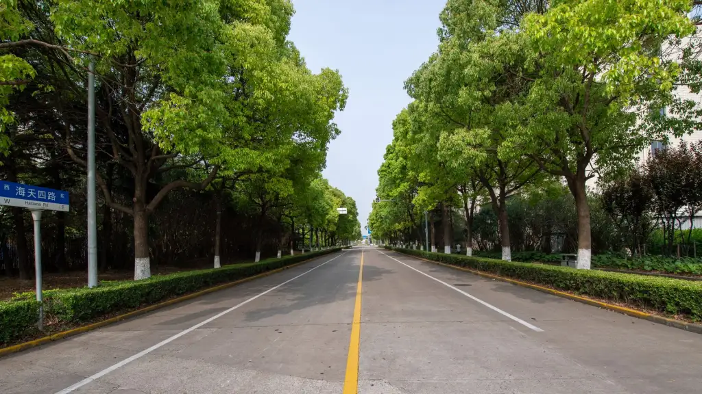 从运动员注册到裁判评分：成绩统计软件如何支撑大型赛事全流程
