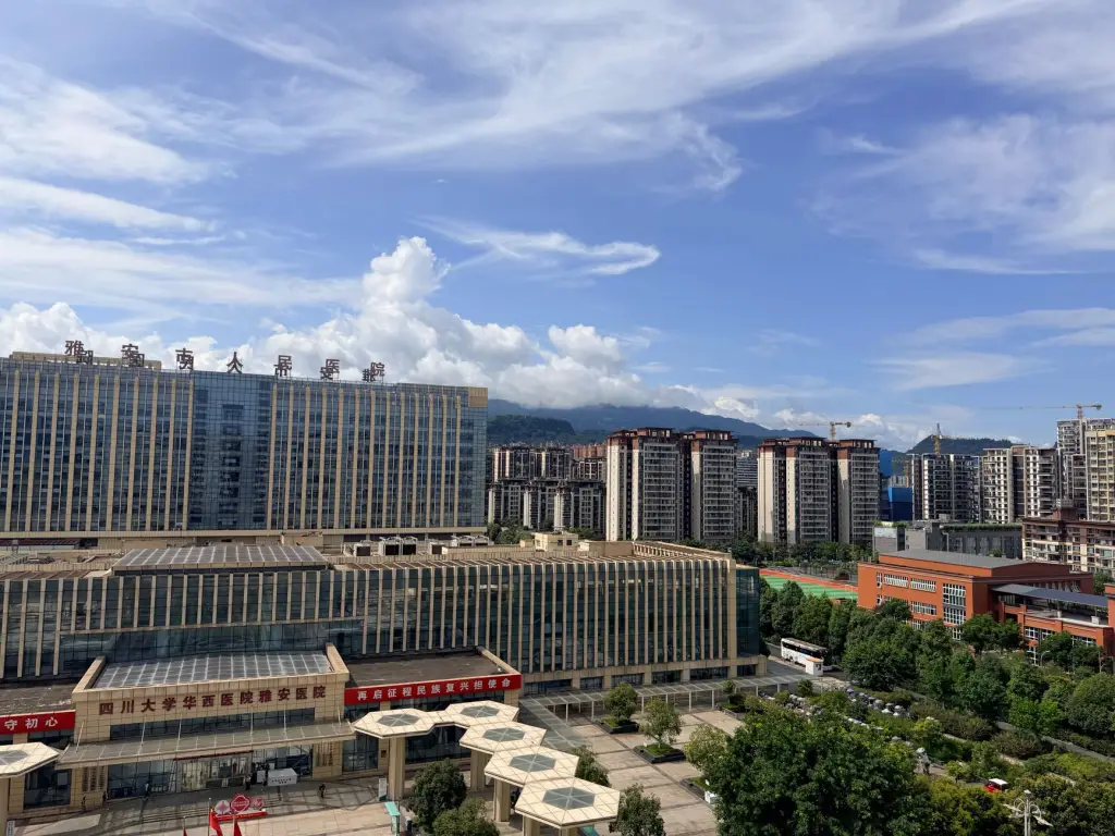 体育赛事编排软件选型指南：从光盘版到云端化的技术演进