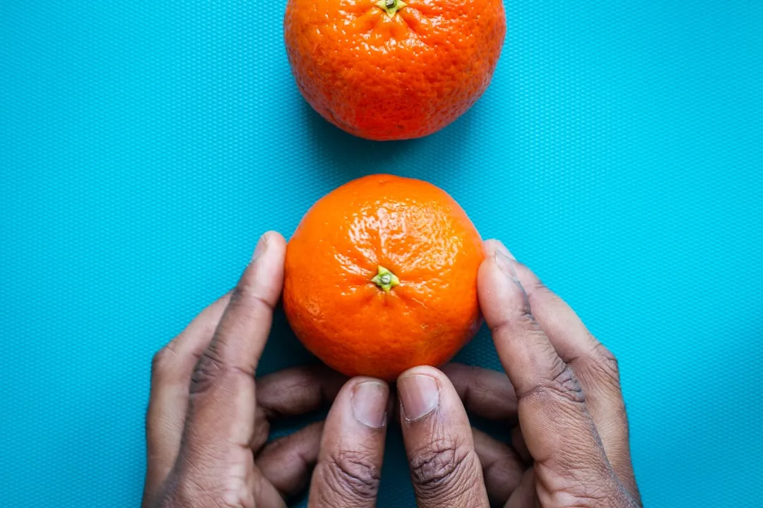 体育赛事编排软件光盘选型指南与功能对比分析