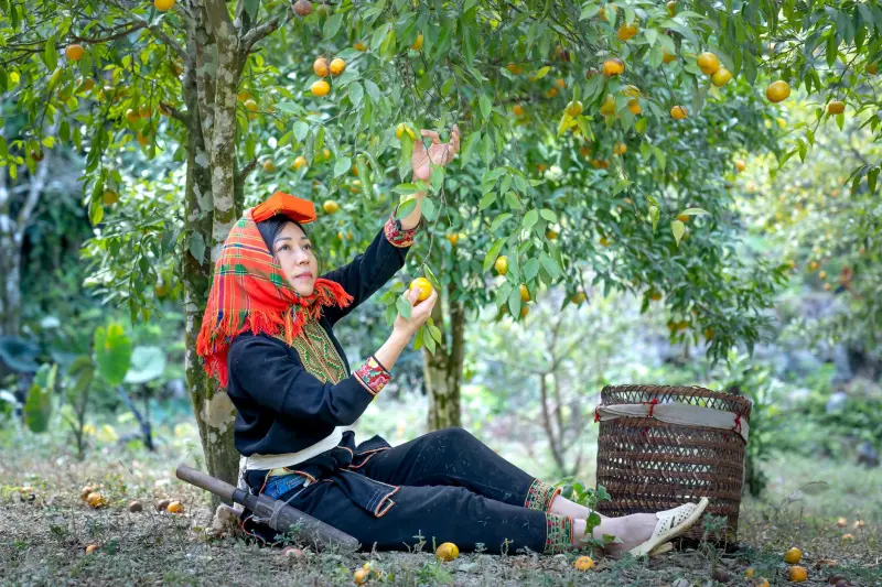 运动员注册软件在大型田径赛事中的数据处理流程与技术要点解析